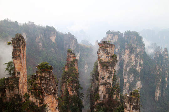 山