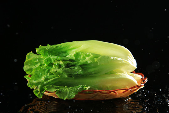 生菜