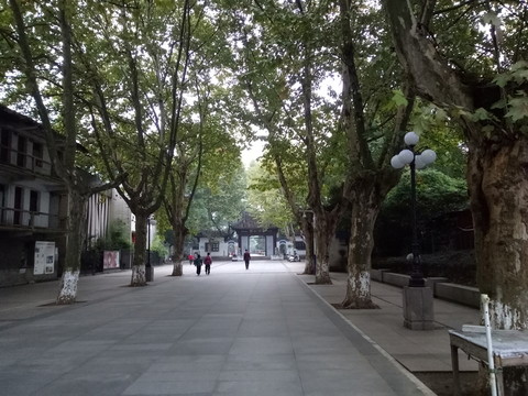 安慶菱湖大門(mén)口風(fēng)景