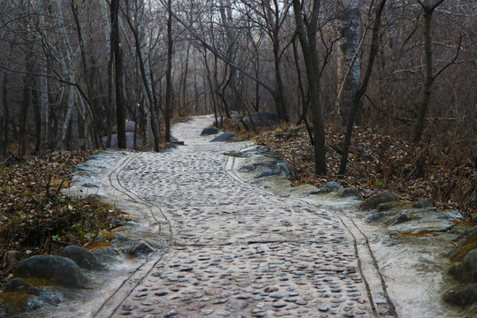 山路