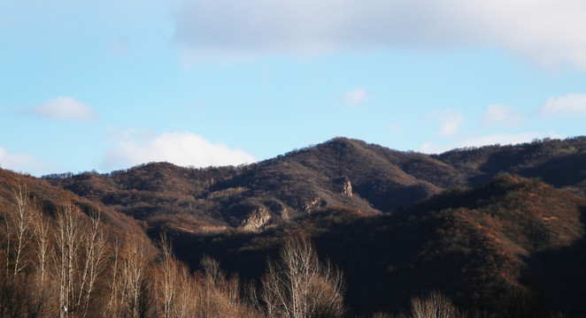 山