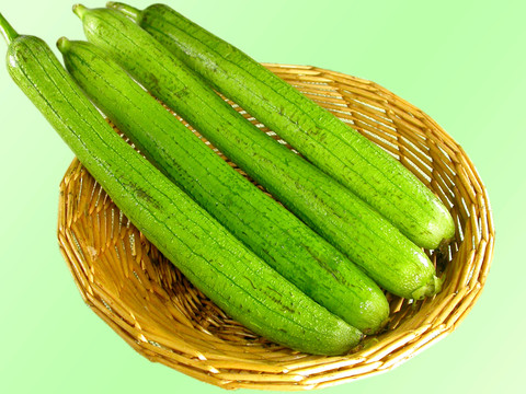 田園絲瓜