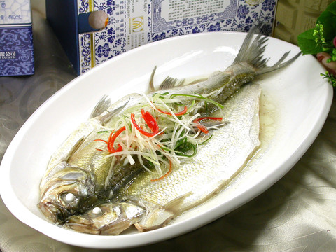 太湖白魚