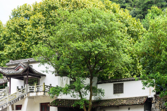 富春江風(fēng)光