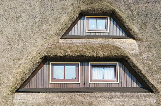 reet dormer windows
