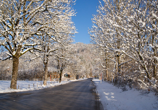 winterfeeling與街頭的性質(zhì)