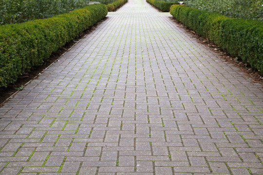 公園