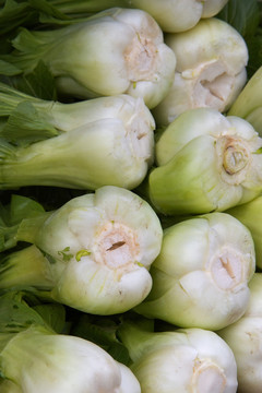 食物