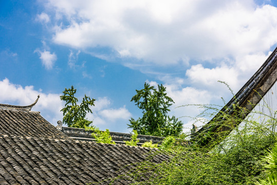 瞻園園林景觀
