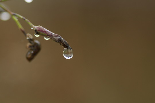 水滴