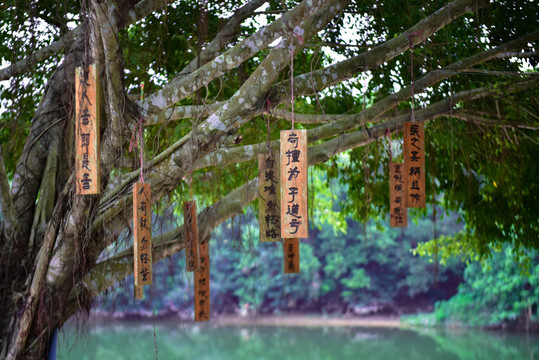 弟子規(guī)