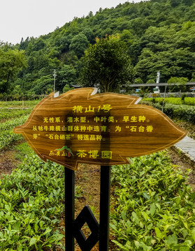 標(biāo)識牌
