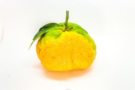丑桔 橙子 蘆柑 不知火柑