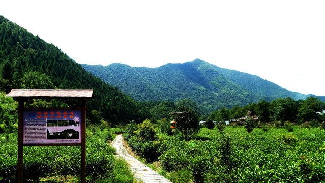科普基地