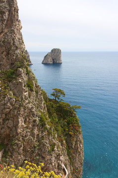 藍(lán)色