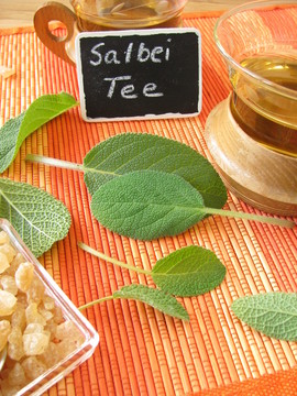 salbeitee