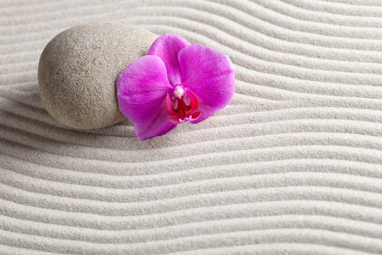 花園