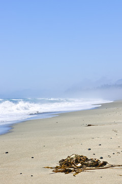 海灘