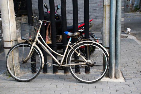 自行車(chē)
