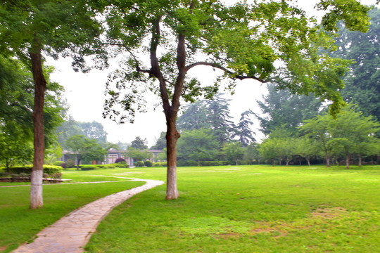 路