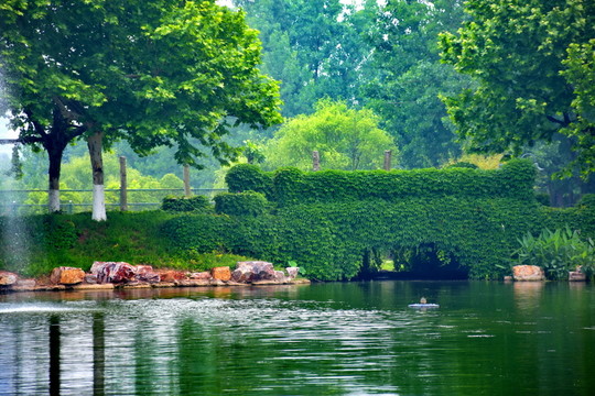 綠橋