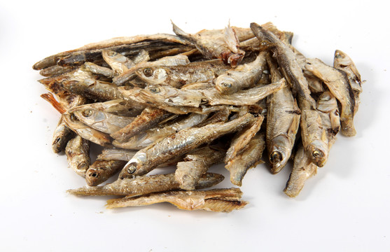 魚