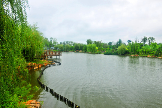 景區(qū)湖畔  景區(qū)水域打造