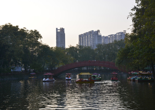 公園游船