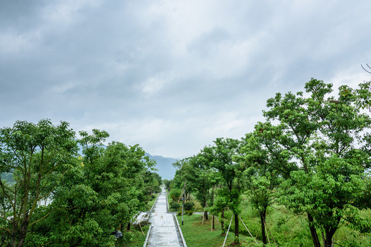 江邊綠化