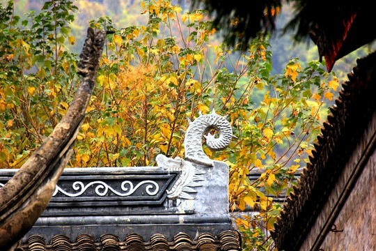南京棲霞山