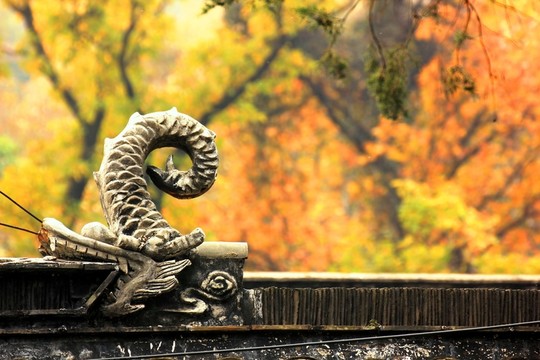 南京棲霞山