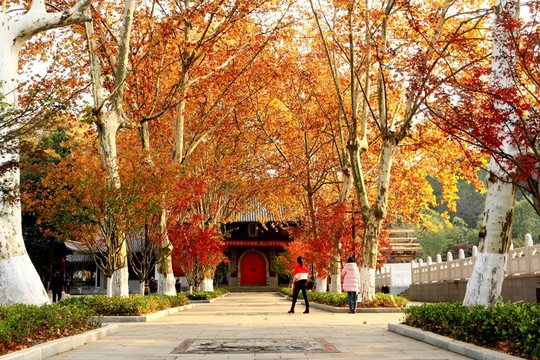 南京棲霞山