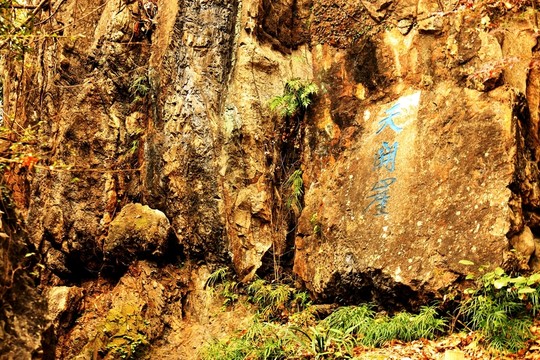 南京棲霞山