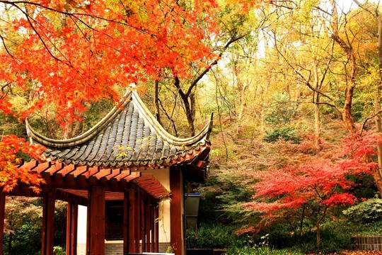 南京棲霞山