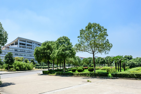 校區(qū)景觀