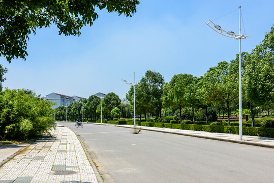 校園道路