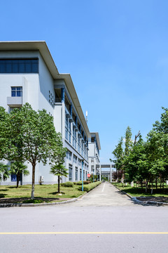 大學建筑
