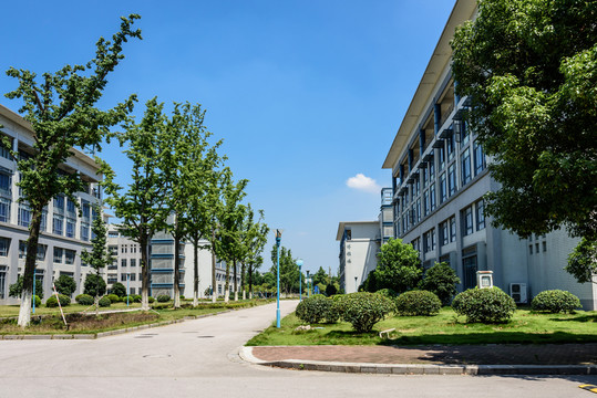 大學(xué)建筑