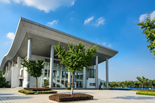 大學體育館