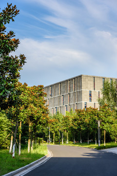 大學(xué)建筑