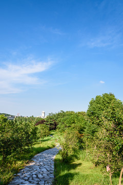 小山園林景觀
