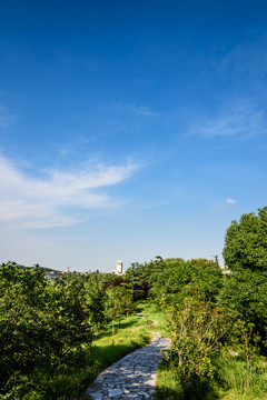 小山園林景觀