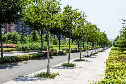 城區(qū)道路
