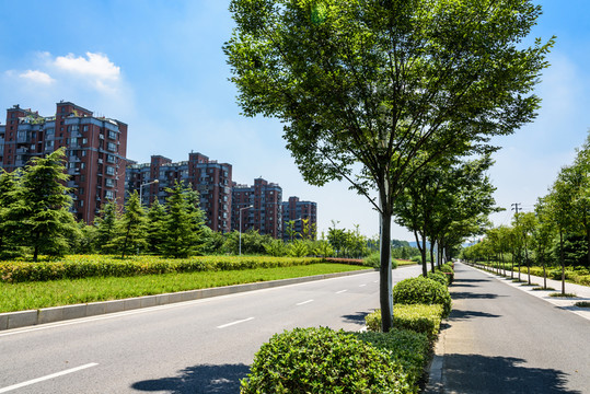 城區(qū)道路