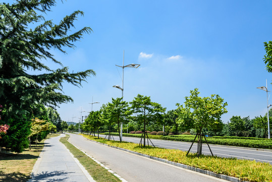城區(qū)道路