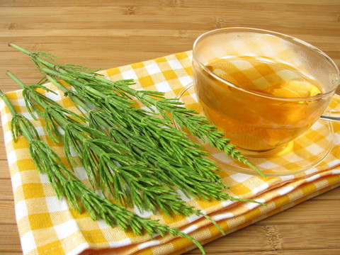 與領(lǐng)域馬尾茶