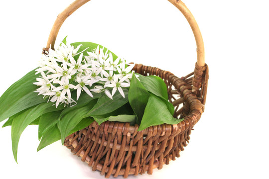 ramson