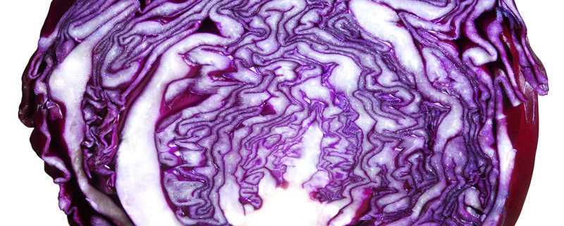 紅卷心菜
