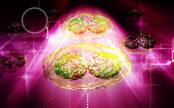 制圖學