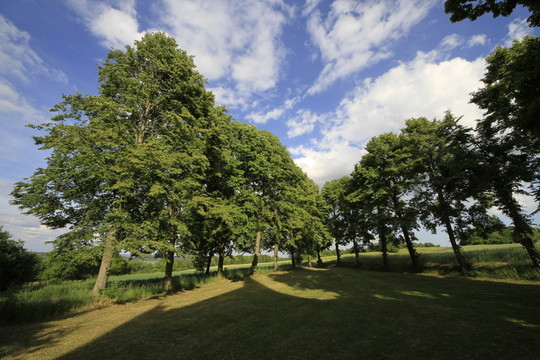 上午的美麗風景